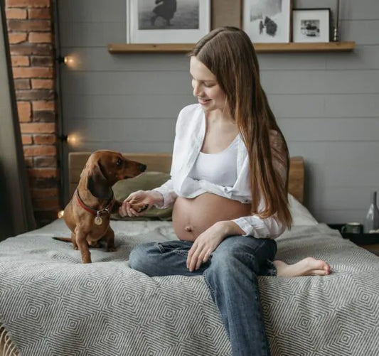 Mohou psi rozpoznat těhotenství?