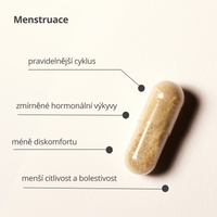 PMS bundle