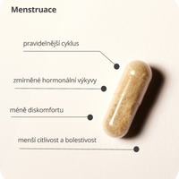 Happy Period Bundle